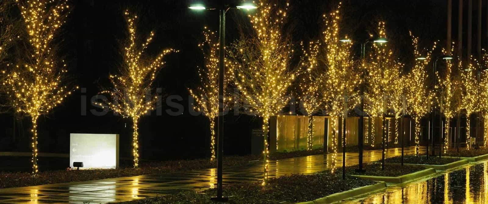 Yagmurlu gece zemin yansımasında modern bina onundeki sira agaclara takilmis sicak beyaz led susleme