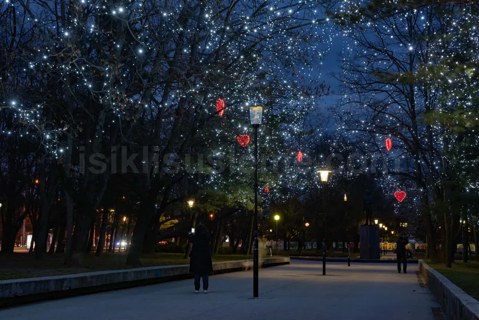 Gece parkta agaclara sarilmis beyaz LED isiklar ve kirmizi kalp figurler