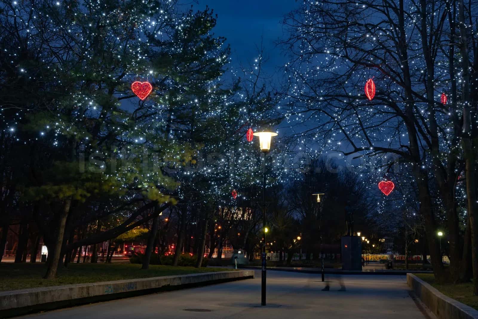 Yilbasi geceleri park yolunda agaclara asili beyaz LED ve kirmizi kalp susleme