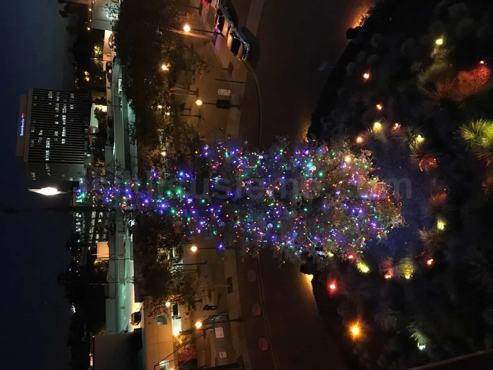 Gece cekilen sehir meydaninda renkli led susleli yilbasi agaci ve etraf sokak aydinlatmasi