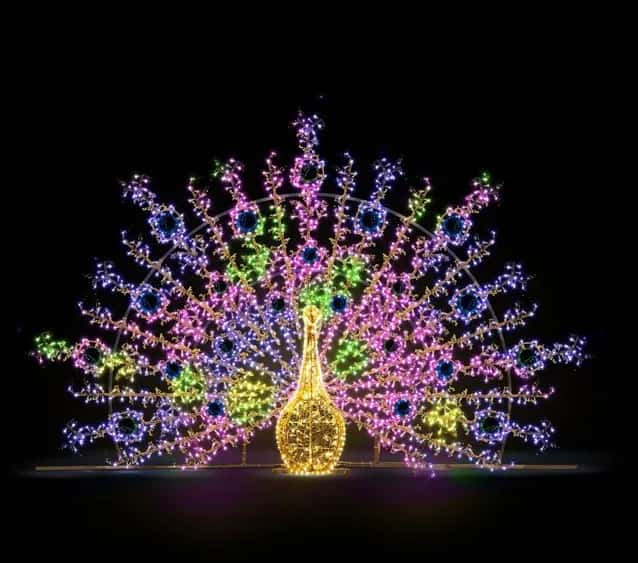 Peacock 230 Tavus Kuşu Figürü 73880.00SLBV varyantı