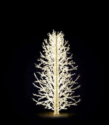 Sasha 500 36478.02 varyantı