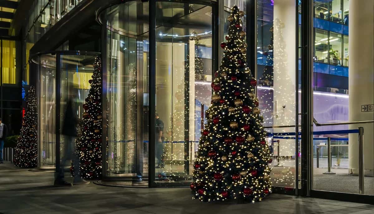 Konik Çam kurulmuş halde gece çekimi, LED ışık süsleme uygulaması