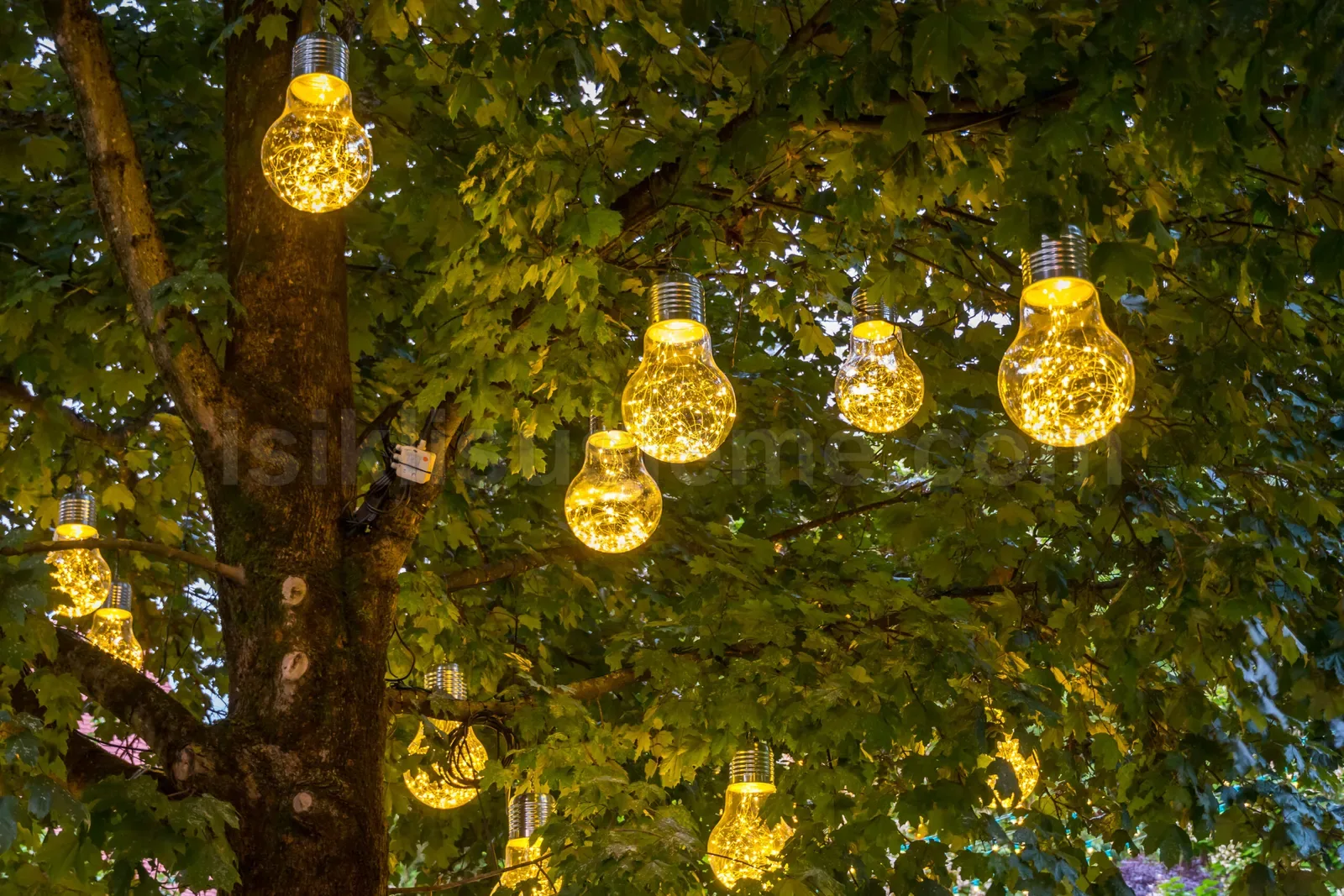 Yesil agac dallarina asili sari sicak beyaz dekoratif LED ampuller gece ortaminda