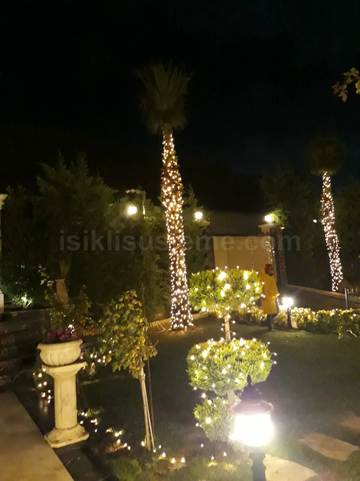 Gece dis bahcede palmiye govdelerine ve bodur agaclara sarilmis sicak beyaz LED isik kurulumu
