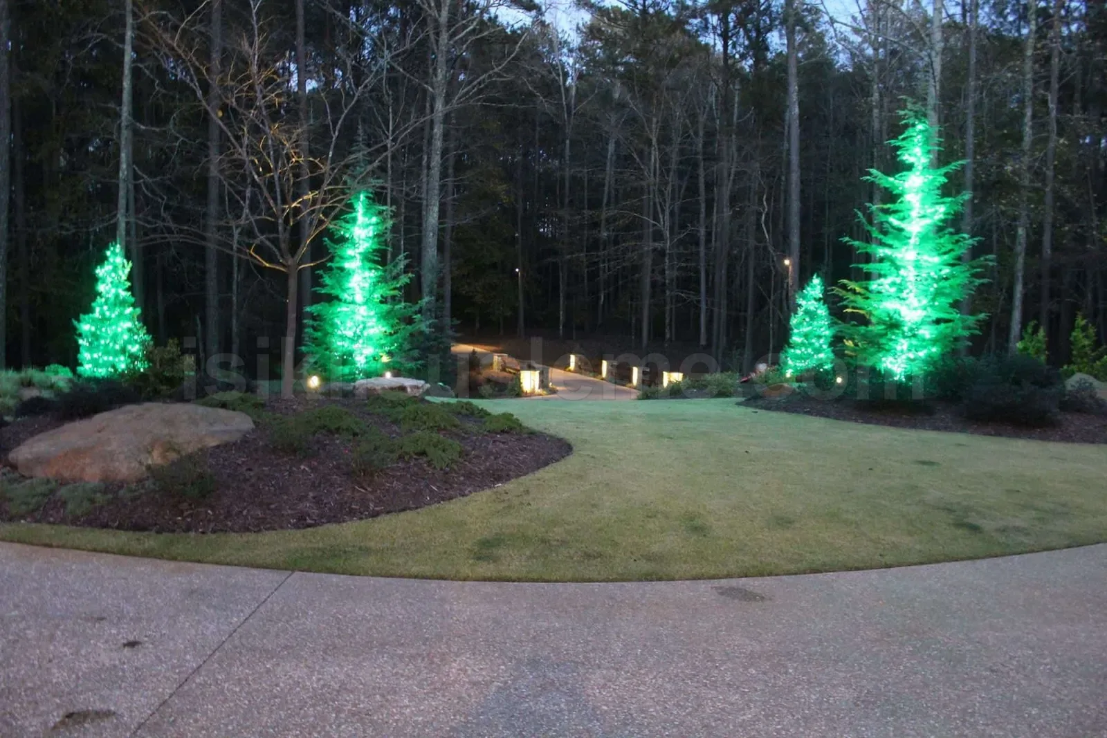 Villa bahcesinde yesil LED ile aydinlatilmis uc conifer agac gece gorunumu